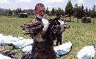 Ampliar Foto