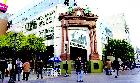Ampliar Foto